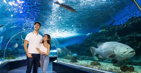 manila ocean park tickets|Manila Ocean Park .